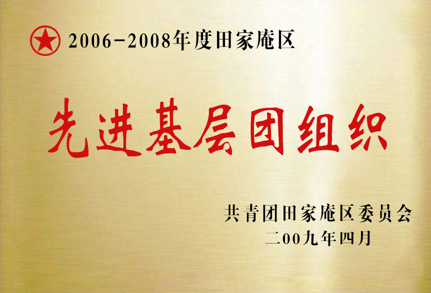 2006-2008年度田家庵区先进基层团组织.jpg